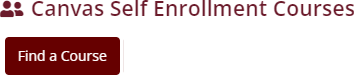 Image of the Canvas Self Enrollment icon from mystate.