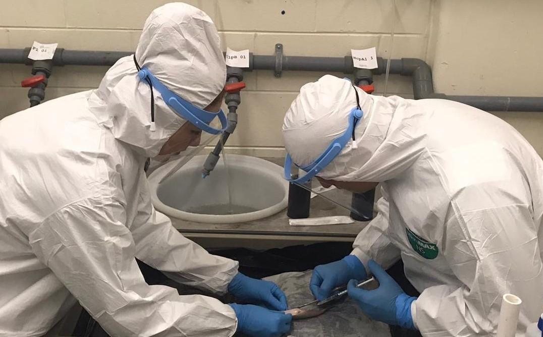 MSU CVM Aquatics Laboratory Catfish Inoculations