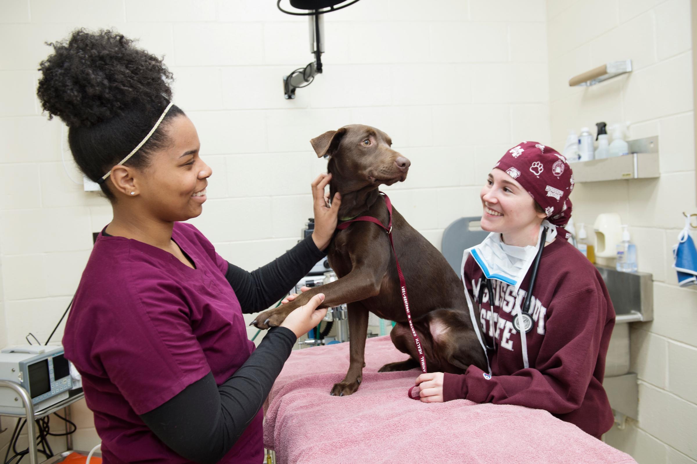 Image of two Mississippi State veterinary students holding a brown dog on an exam table.